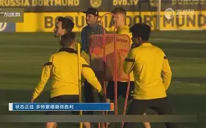 社区盾杯2024免费直播