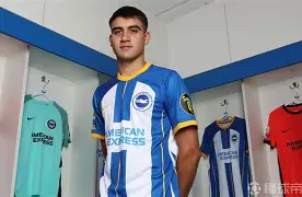 布莱顿转会情况