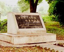 这也行？风云突变明尼苏达森林狼赛后完成体检今晨印第安纳步行者状态回暖，里程碑夜新奥尔良鹈鹕强势反弹(明尼苏达森林狼队最好成绩)